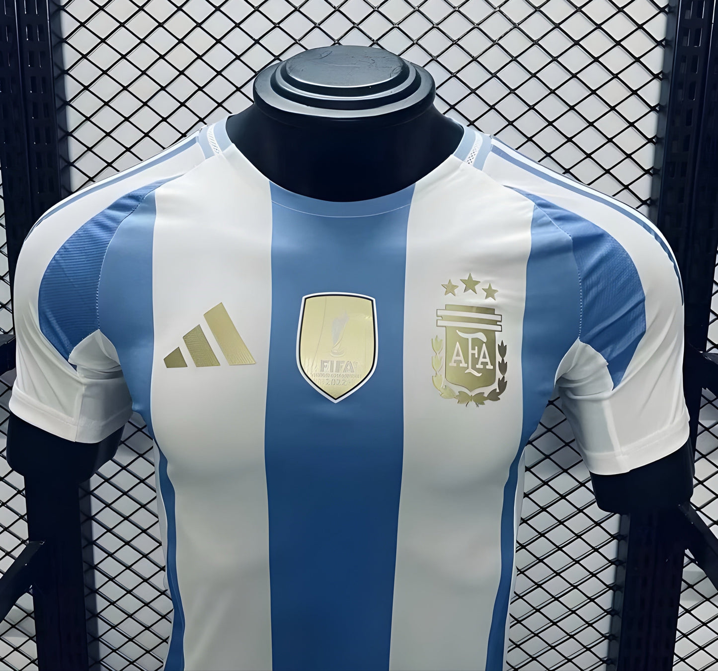 Argentina 2024 Local